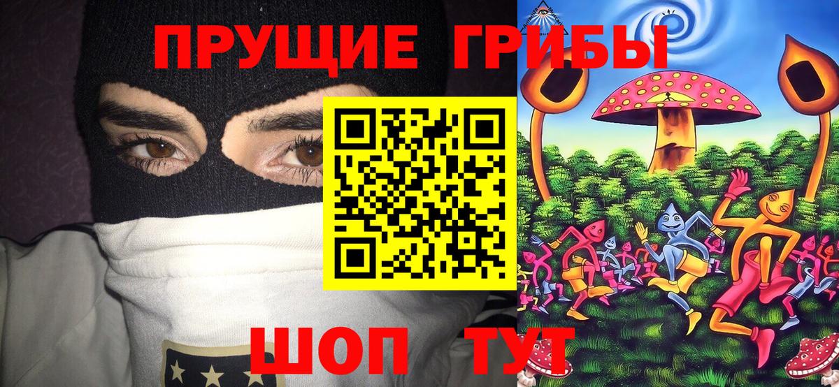 Псилоцибиновые грибы Cubensis Усть-Джегута