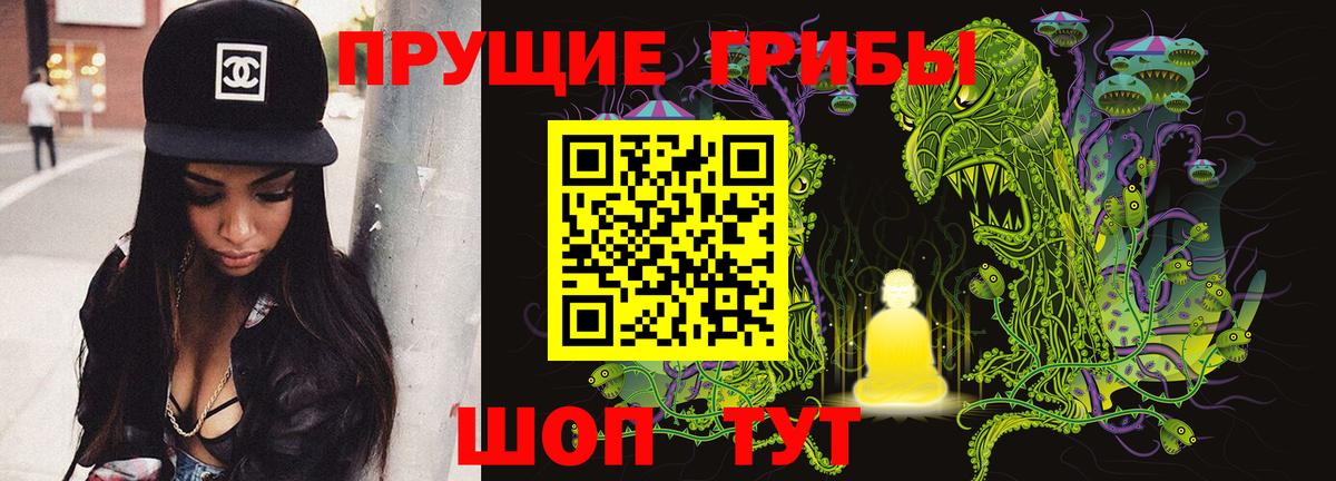 Усть-Джегута  Галлюциногенные грибы Psilocybine cubensis  Вход с VPN 