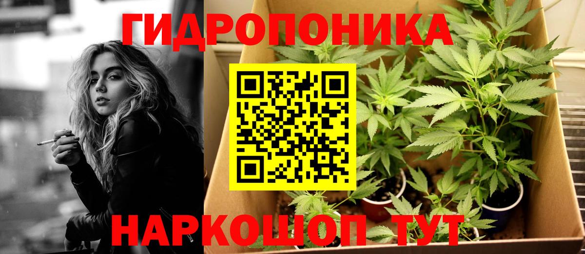 Марихуана индика  Бошки Шишки план  Усть-Джегута  Вход с VPN  Шишки марихуана Ganja 